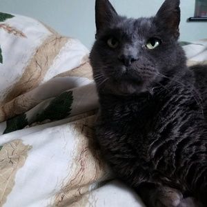 Meet your Posher, Valerie